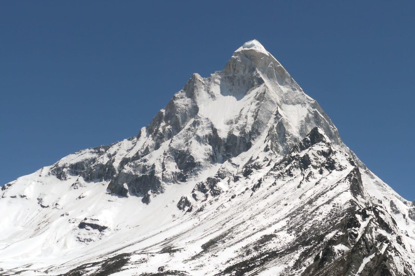 ヨガのバランスのポーズ